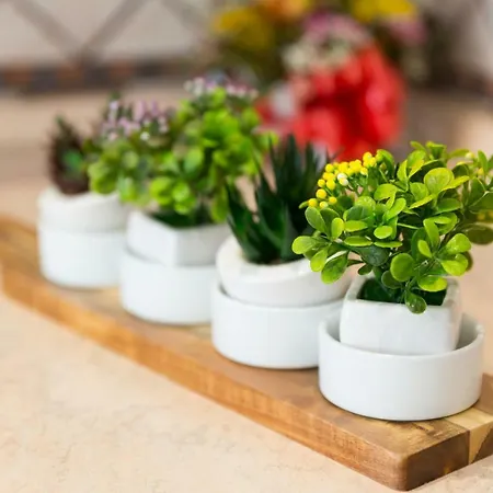 Il Veliero ロッカルメーラ